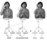 Phonological Complexity is Subregular: Evidence from Sign Language